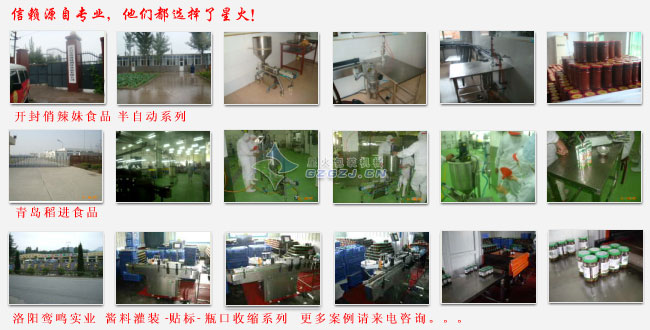 大颗粒酱料灌装机,豆豉酱灌装机