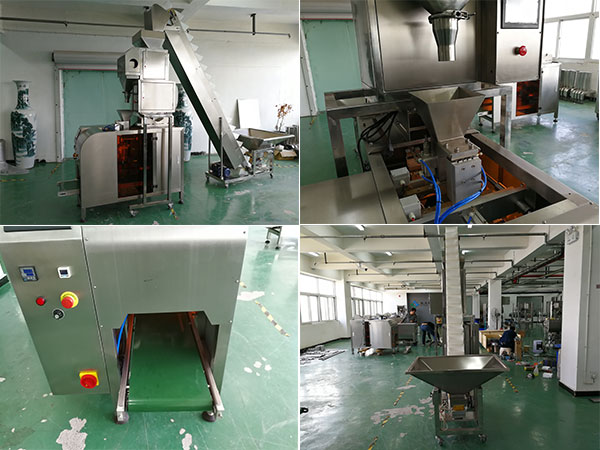 大型自动食品包装机设备实拍图