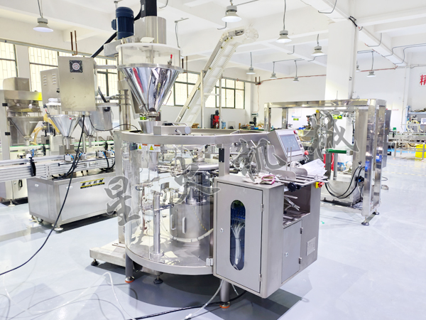 成都给袋式粉剂自动包装机实拍图