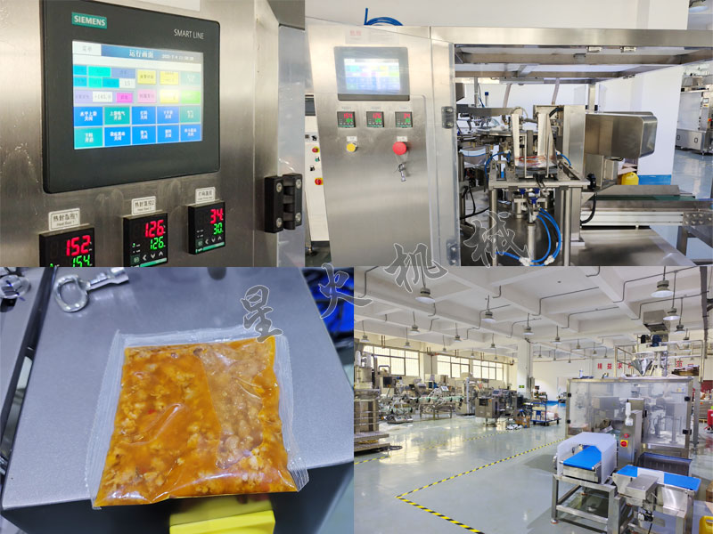 成都给袋式肉片包装机细节图