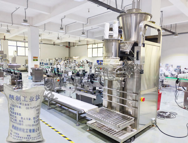 成都工业盐自动包装机实拍图