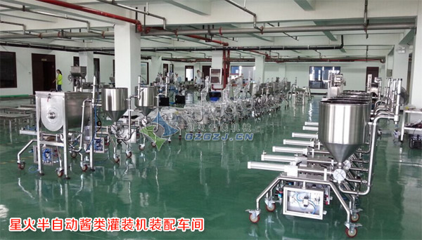 大颗粒酱料灌装机,豆豉酱灌装机