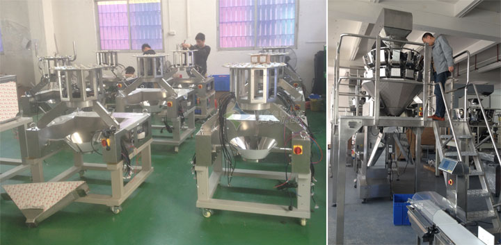 220D组合称量自动食品包装机