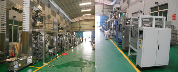 220D组合称量自动食品包装机