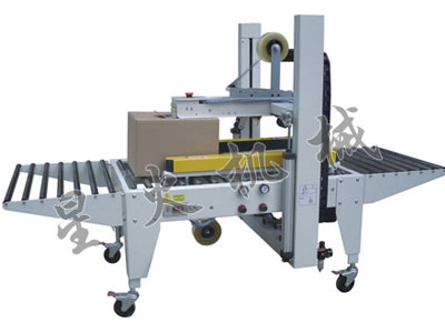 XHE-50全自动食品纸箱包装机